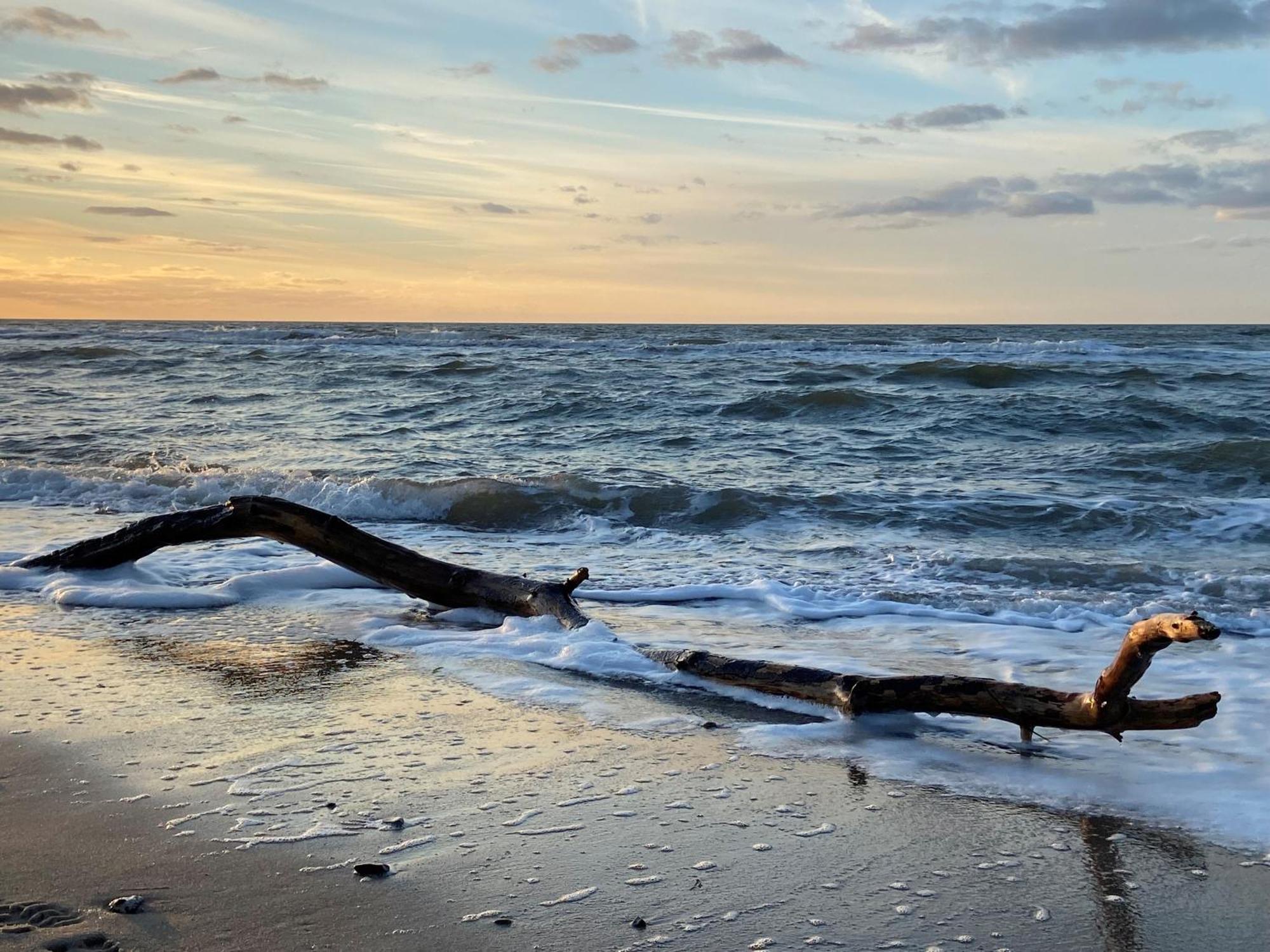 Ferienwohnung Strandkoje 디르하겐 외부 사진