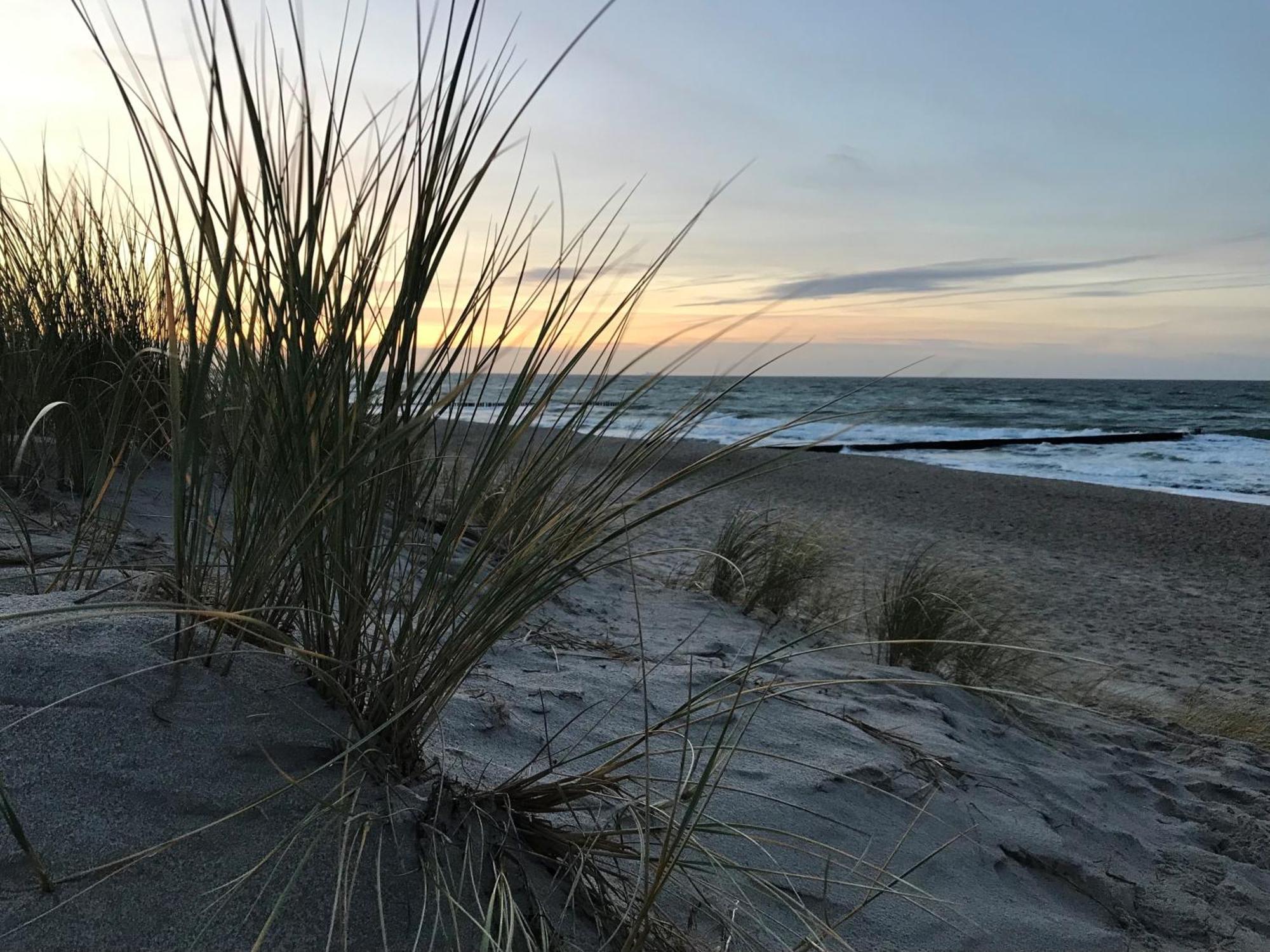 Ferienwohnung Strandkoje 디르하겐 외부 사진